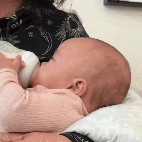SnuggleNest Nursing Pillow
